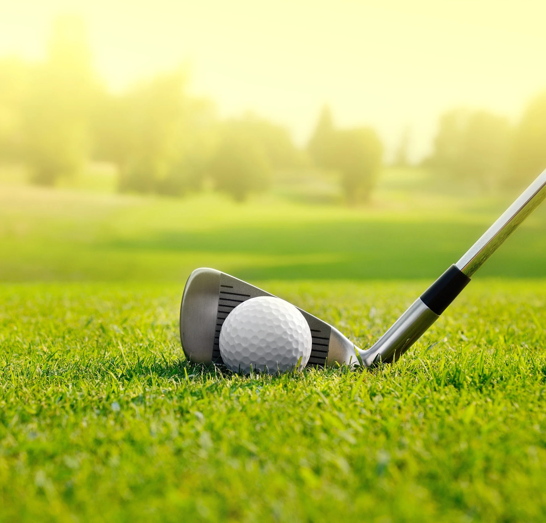 Golf Bags Sales Store -Golf Bags Sales Store AdobeStock 89240595 scaled 2