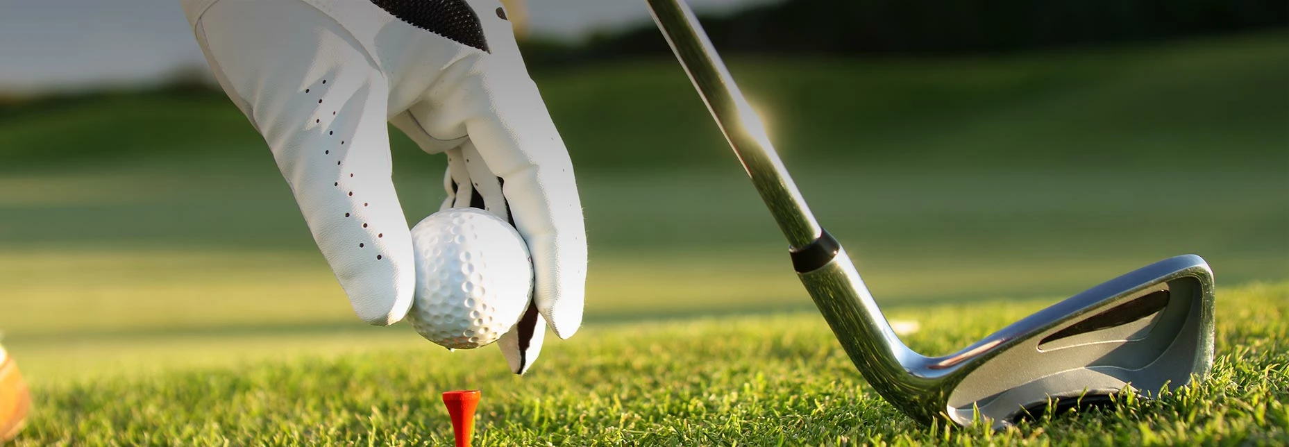 Golf Bags Sales Store -Golf Bags Sales Store 高尔夫4